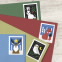 Winter Woodland Animals Stamps