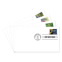 Garden Delights First Day Cover