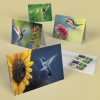 Garden Delights Cards