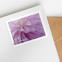 Dahlias Stamps