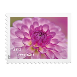 Dahlias Stamps