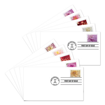 Dahlias First Day Covers, Stamp from Book of 20