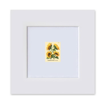 Sunflowers Matted Stamp