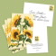 Sunflowers Notecards, Set of 8
