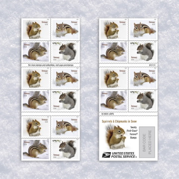 Squirrels & Chipmunks in Snow Stamps