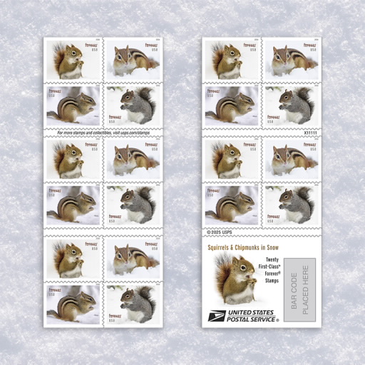 Squirrels & Chipmunks in Snow Stamps