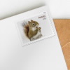 Squirrels & Chipmunks in Snow Stamps