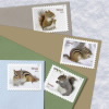 Squirrels & Chipmunks in Snow Stamps