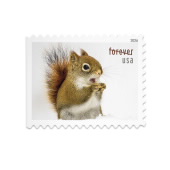 Squirrels & Chipmunks in Snow Stamps image