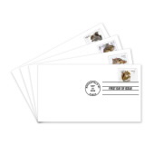 Squirrels & Chipmunks in Snow First Day Covers image