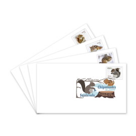 Squirrels & Chipmunks in Snow Digital Color Postmarks