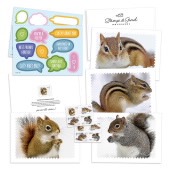 Squirrels & Chipmunks in Snow Notecards image