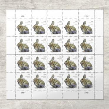 Brush Rabbit Stamps