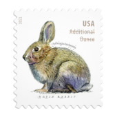 Brush Rabbit Stamps image