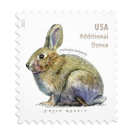 Brush Rabbit Stamps