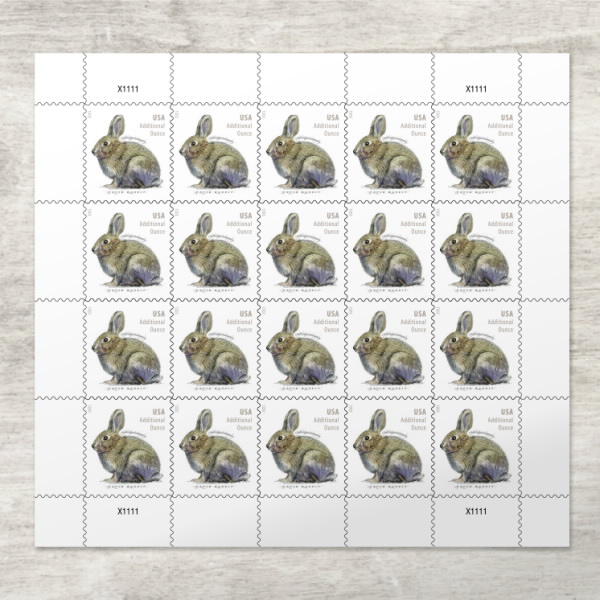 Brush Rabbit Stamps