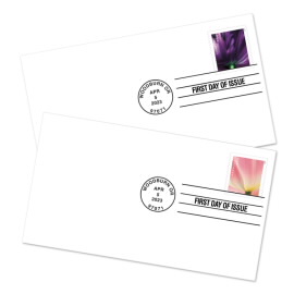 Tulip Blossoms First Day Cover (Coil of 3,000)