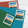 Summer Sunset Nonprofit Stamps, Coil of 3,000