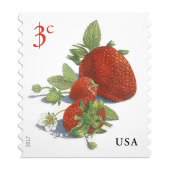 Strawberries Stamps image