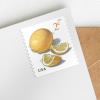 Meyer Lemons Stamps