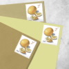 Meyer Lemons Stamps