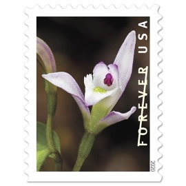 Wild Orchids Stamps