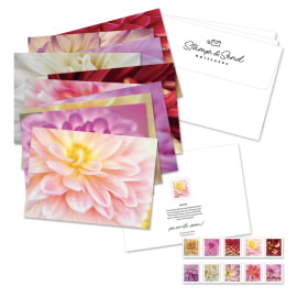 Dahlias Notecards