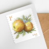Apples Stamps