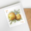 Apples Stamps