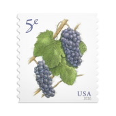 Grapes Stamps image