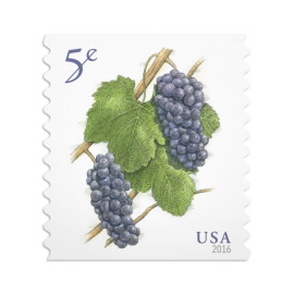 Grapes Stamps