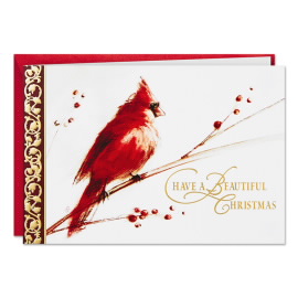 Cardinal on Holly Greeting Card