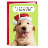 Christmas Shoebox Dog Holiday Card