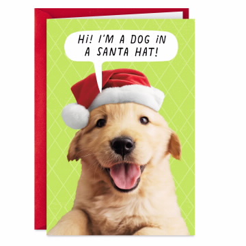 Christmas Shoebox Dog Holiday Card