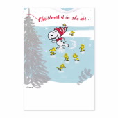 Christmas Hallmark-Flagship Peanuts Snoopy On Ice Holiday Card image
