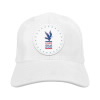 USPS 250th Anniversary Star Logo Cap