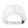 USPS 250th Anniversary Star Logo Cap