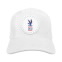 USPS 250th Anniversary Star Logo Cap