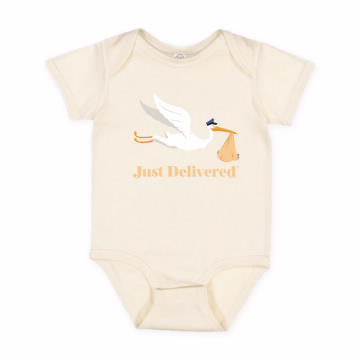 USPS Just Delivered Onesie