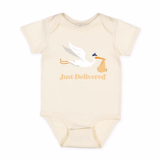 USPS Just Delivered Onesie