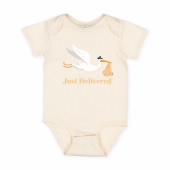 USPS Just Delivered Onesie image