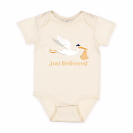 USPS Just Delivered Onesie