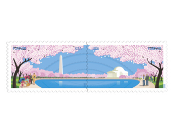 Cherry Blossom Centennial (Forever)