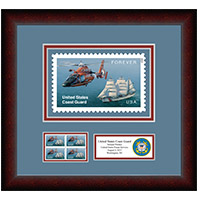 United States Coast Guard Framed Art