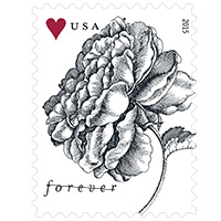 Vintage Rose