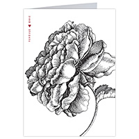 Vintage Rose Notecards