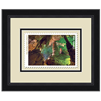 National Parks Carlsbad Caverns Park Framed Art