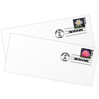 Water Lilies Stamped Envelopes First Day Covers