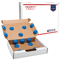 Priority Mail Large Flat Rate Precious Cargo Box