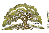 Tree Forever 